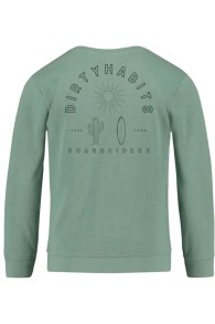 Dirty Habits - Aloe Sweat Pull